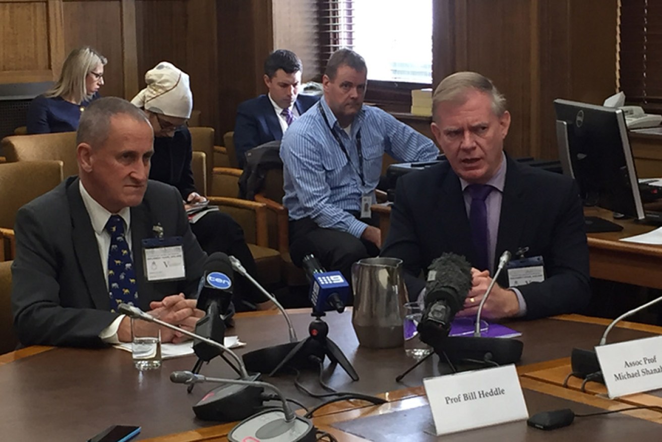 Bill Heddie and Michael Shanahan addressing the Transforming Health committee this morning. Photo: Bension Siebert / InDaily