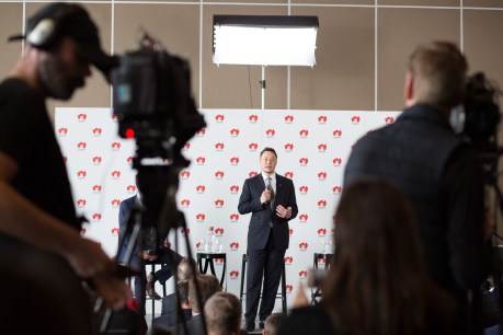 Voters energised by Tesla battery announcement