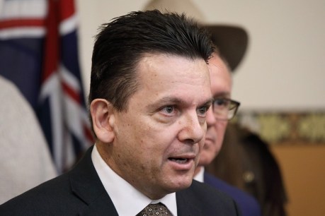 Xenophon rejects Hanson’s anti-ABC media deal