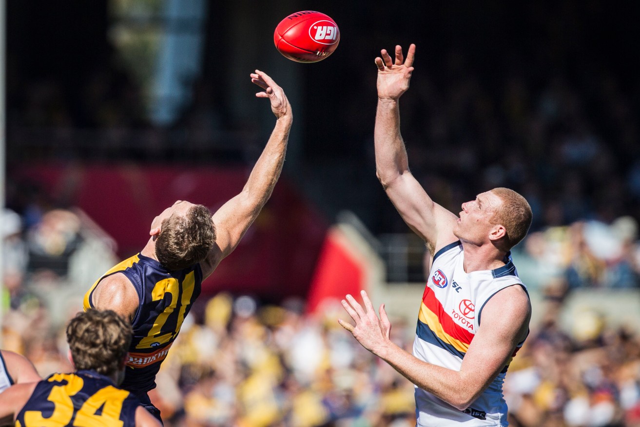 Adelaide's Sam Jacobs vies with Drew Petrie at the ball-up. Photo: Tony McDonough / AAP