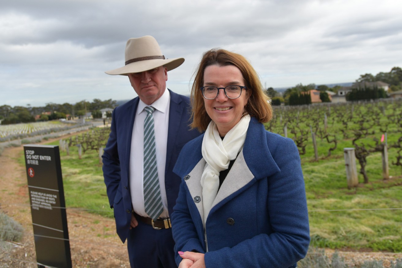 Barnaby Joyce and Anne Ruston at Penfolds Magill Estate yesterday. Photo: AAP