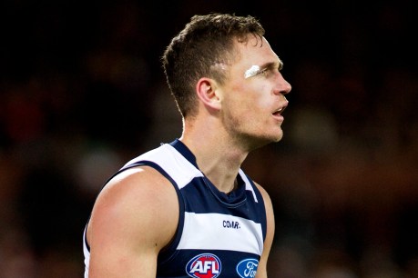 Good signs, but Cats wary on Selwood recovery