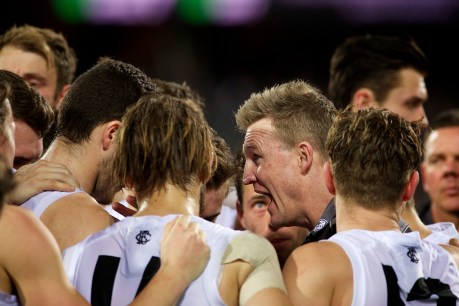 “You’ve got to hold those blokes to account”: Coaches blast media “fabrications”