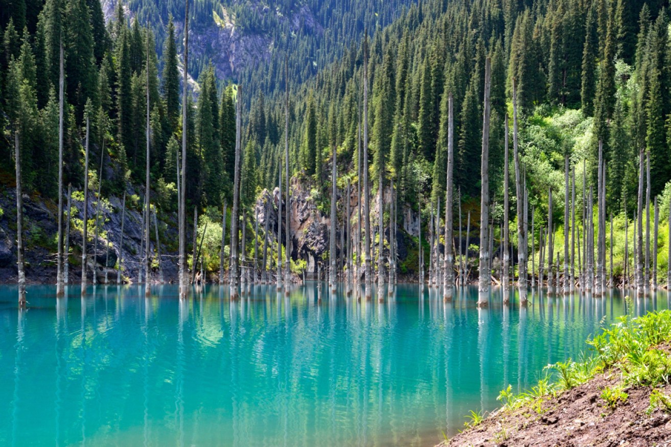 Lake Kaindy, Tian Shan Mountains, Kazakhstan. Photo: Humancode / Getty Images
