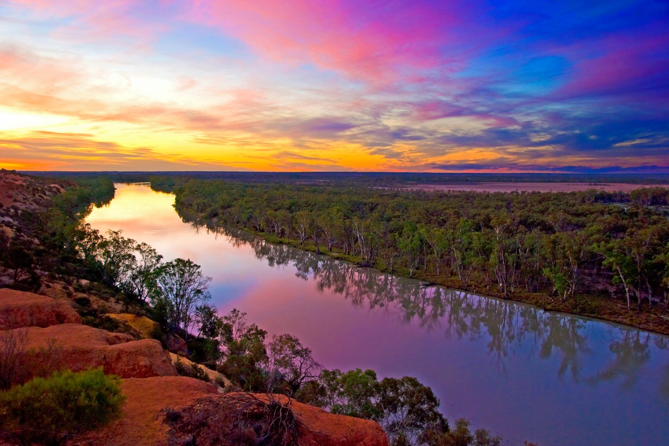 View over the Murtho floodplain adjacent to the River Murray near Renmark, South Australia. Photo Credit: CSIRO