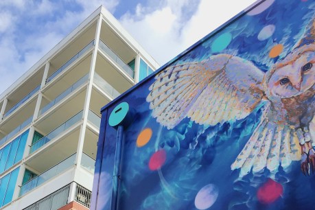 Street art tours show Adelaide in a different light