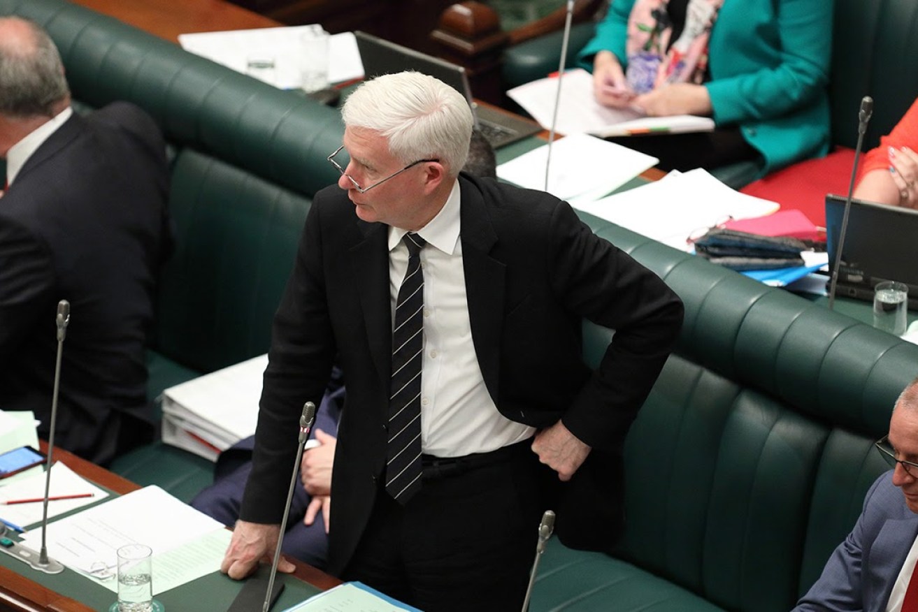 John Rau in parliament this week. Photo: Tony Lewis / InDaily