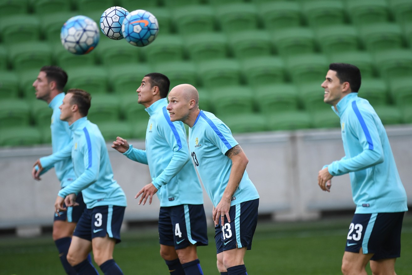Socceroos including Tom Rogic, Aaron Mooy and Tim Cahill training at AAMI Park in Melbourne yesterday. Photo: Julian Smith / AAP
