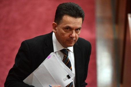 SA will become “Soviet state” if Xenophon media deal goes through: Labor