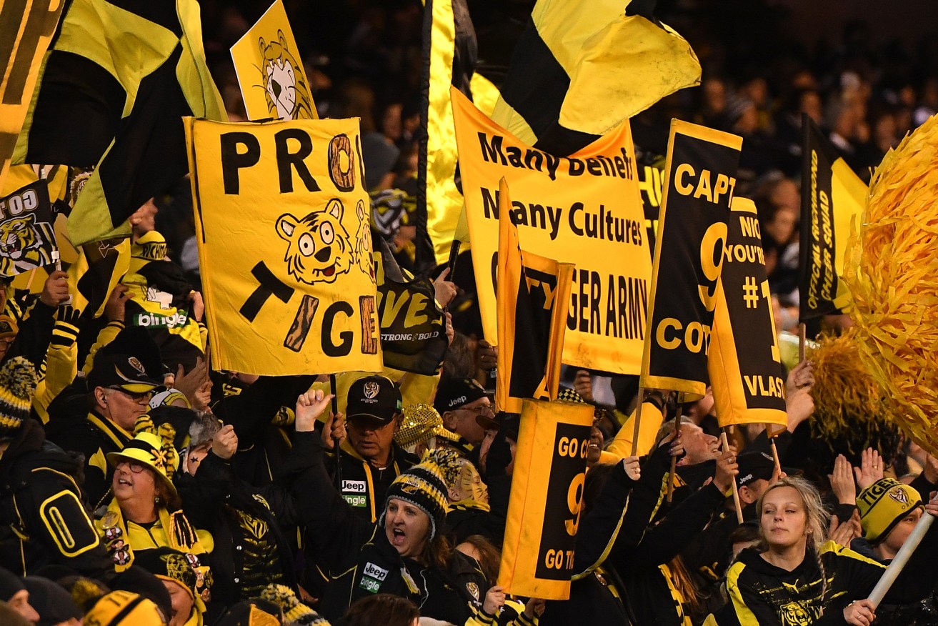 Tigers fans during Richmond's qualifying final win over Geelong. Photo: Julian Smith / AAP