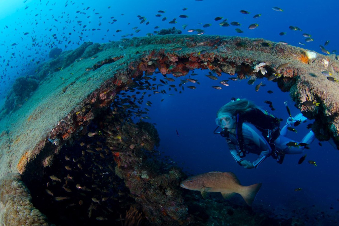 The winner of the AIMA Inaugural Pat Baker Award was Luke Baadel, who photographed at the historic wreck SS Yongala, Queensland.
