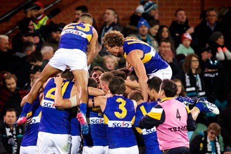 Shuey’s ‘no comment’ on contentious free kick