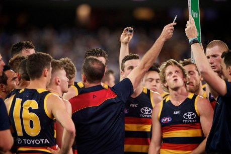 “This is Don’s team now”: Adelaide’s unassuming search for greatness