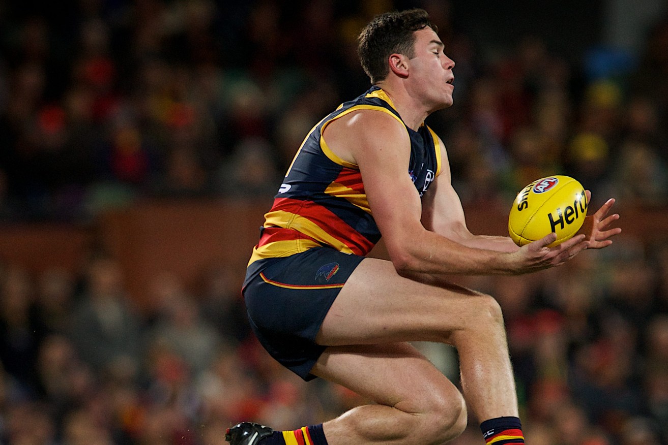 Mitch McGovern will need to be at his high-flying best to be passed fit to play. Photo: Michael Errey / InDaily