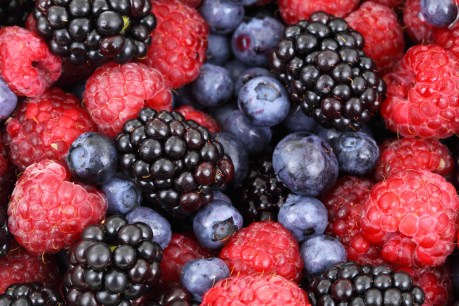 What’s better for you – fresh, dried or frozen fruit?