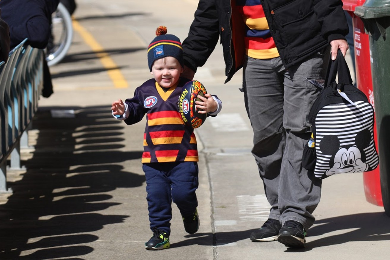 Young supporter Rory Drewett at West Lakes today. Photo: Tony Lewis / InDaily