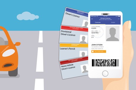 Digital SA driver’s licences set to go live on smartphone app