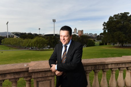 Xenophon and key candidate out of sync on power