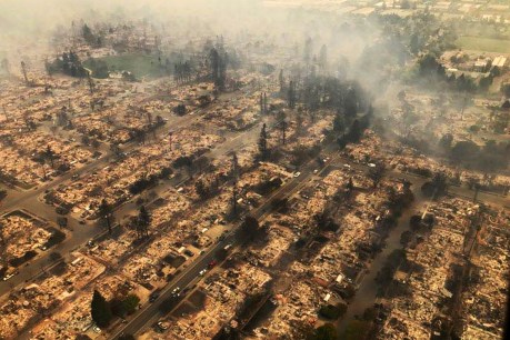 California wildfires hit Treasury Wines