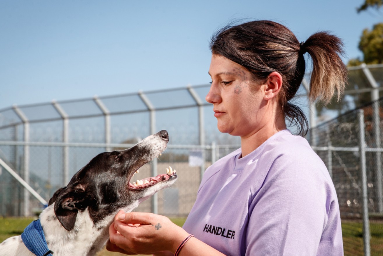 Prisoners and Pups will premiere at Hart's Mill in Port Adelaide on October 12.