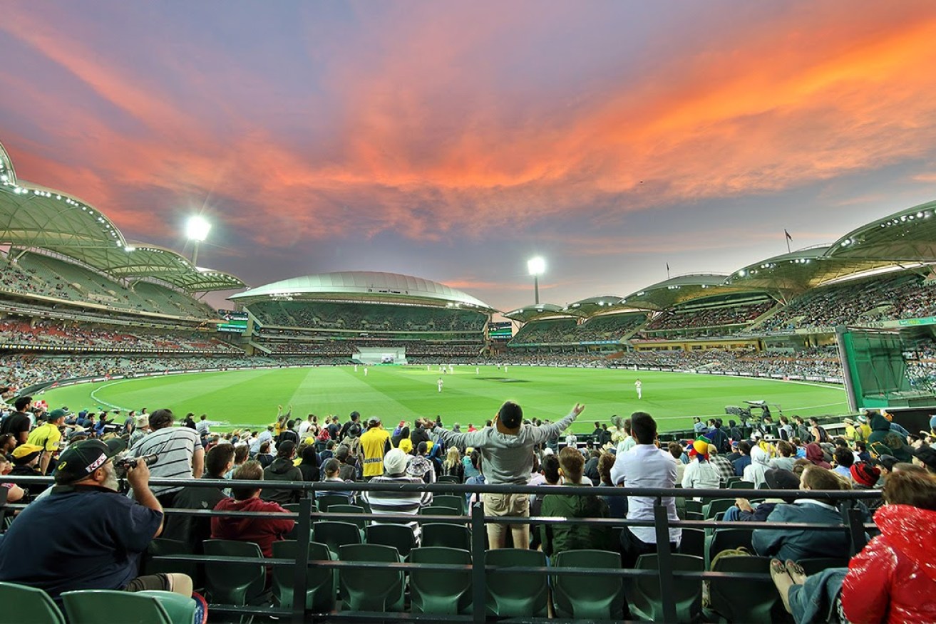 Last year's day-night Test against South Africa at Adelaide Oval. Photo: Tony Lewis / InDaily