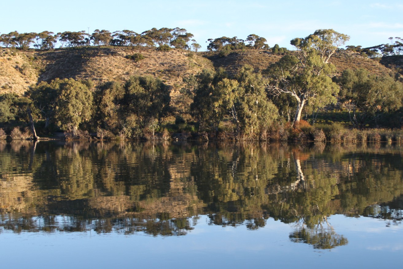 The Murray River is one of South Australia's most important natural resources. 