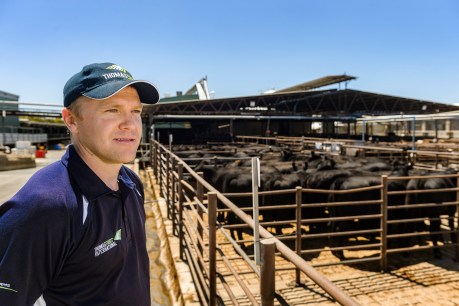 South Australia’s food industry is a growing field of opportunity
