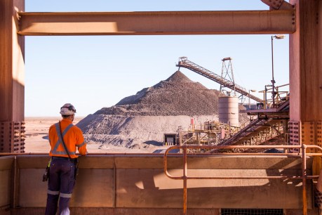 What company will fill the OZ Minerals void?