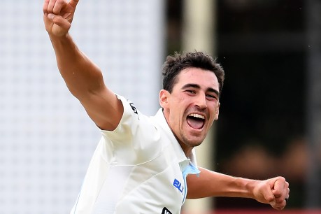 Starc wants to keep the band together
