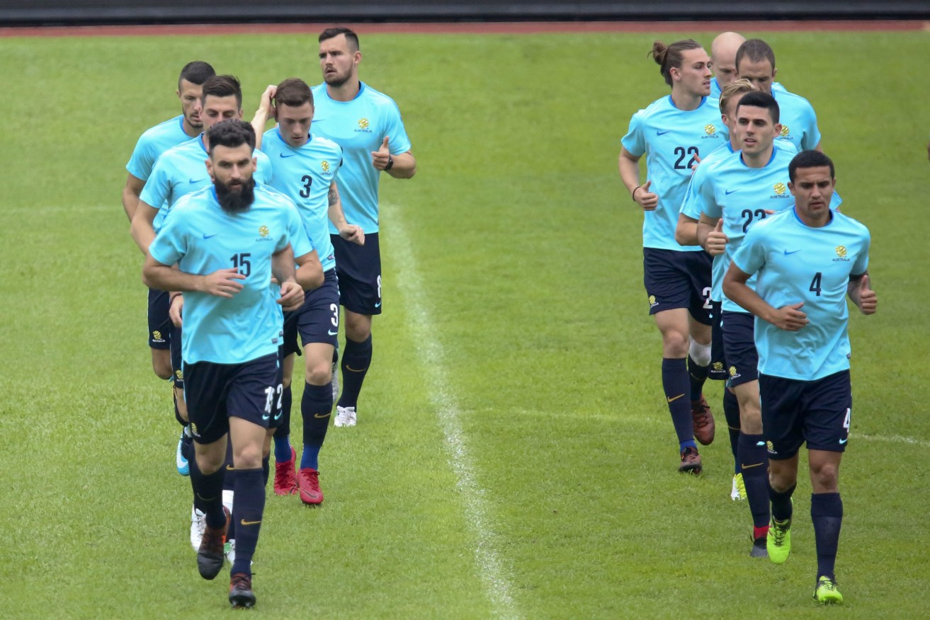 Mile Jedinak and Tim Cahill lead the Socceroos in a training session at the Olympic Stadium in San Pedro Sula. Photo: Gustavo Amador / EPA