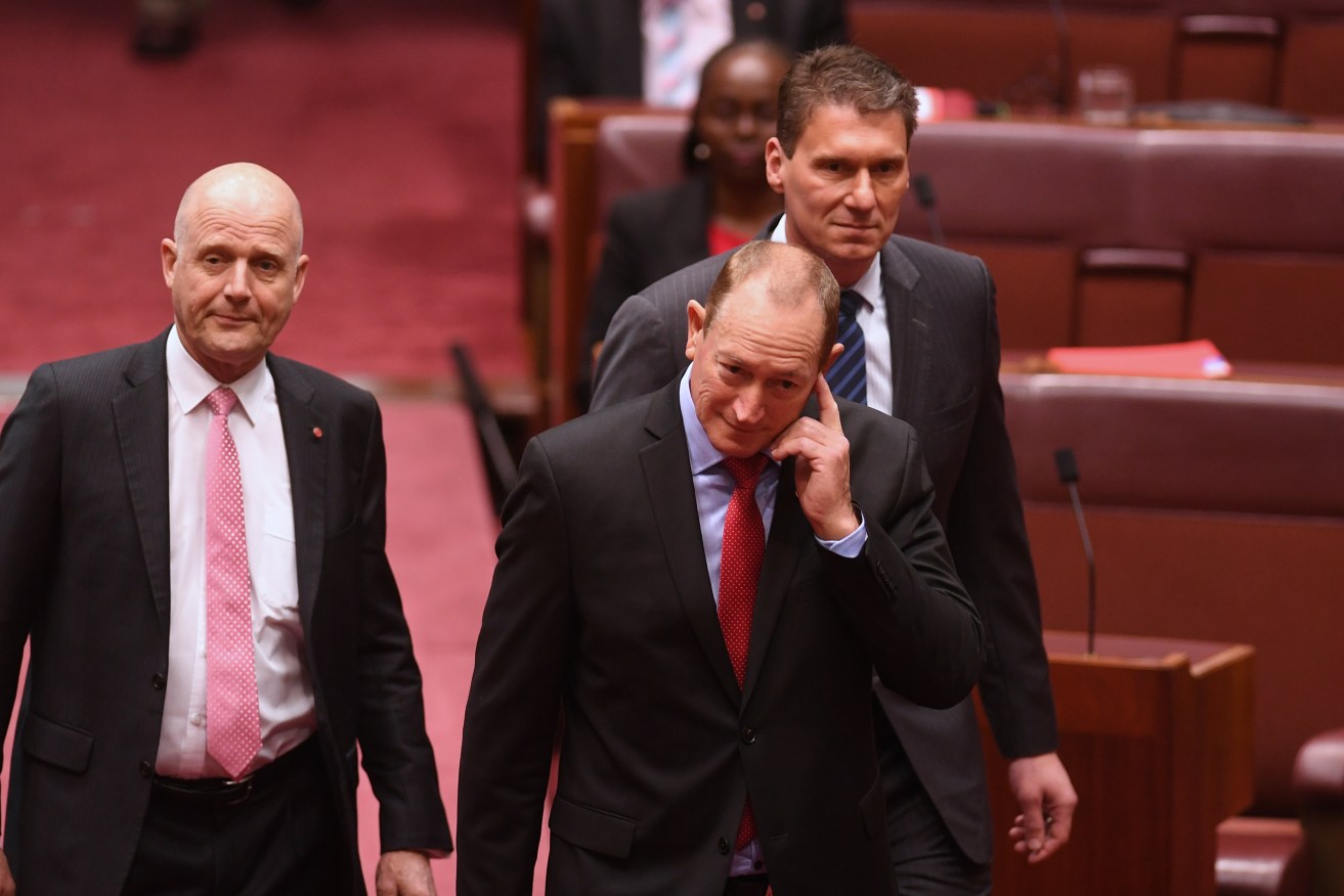 New Queensland Senator Fraser Anning (centre) arrives in the Senate with Cory Bernardi (right) and David Leyonhjelm. AAP image