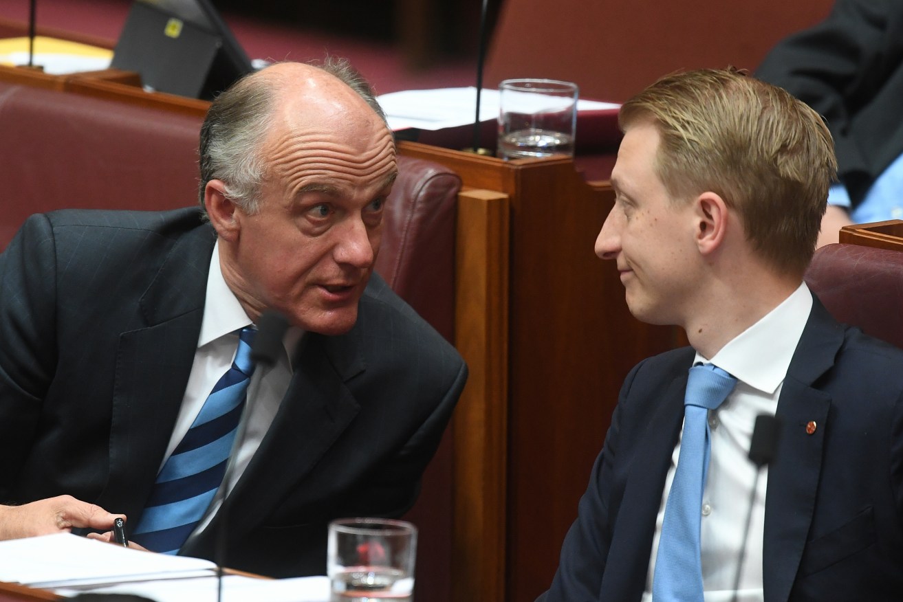 Senators Eric Abetz and James Paterson in Question Time last week. Photo: Lukas Coch / AAP