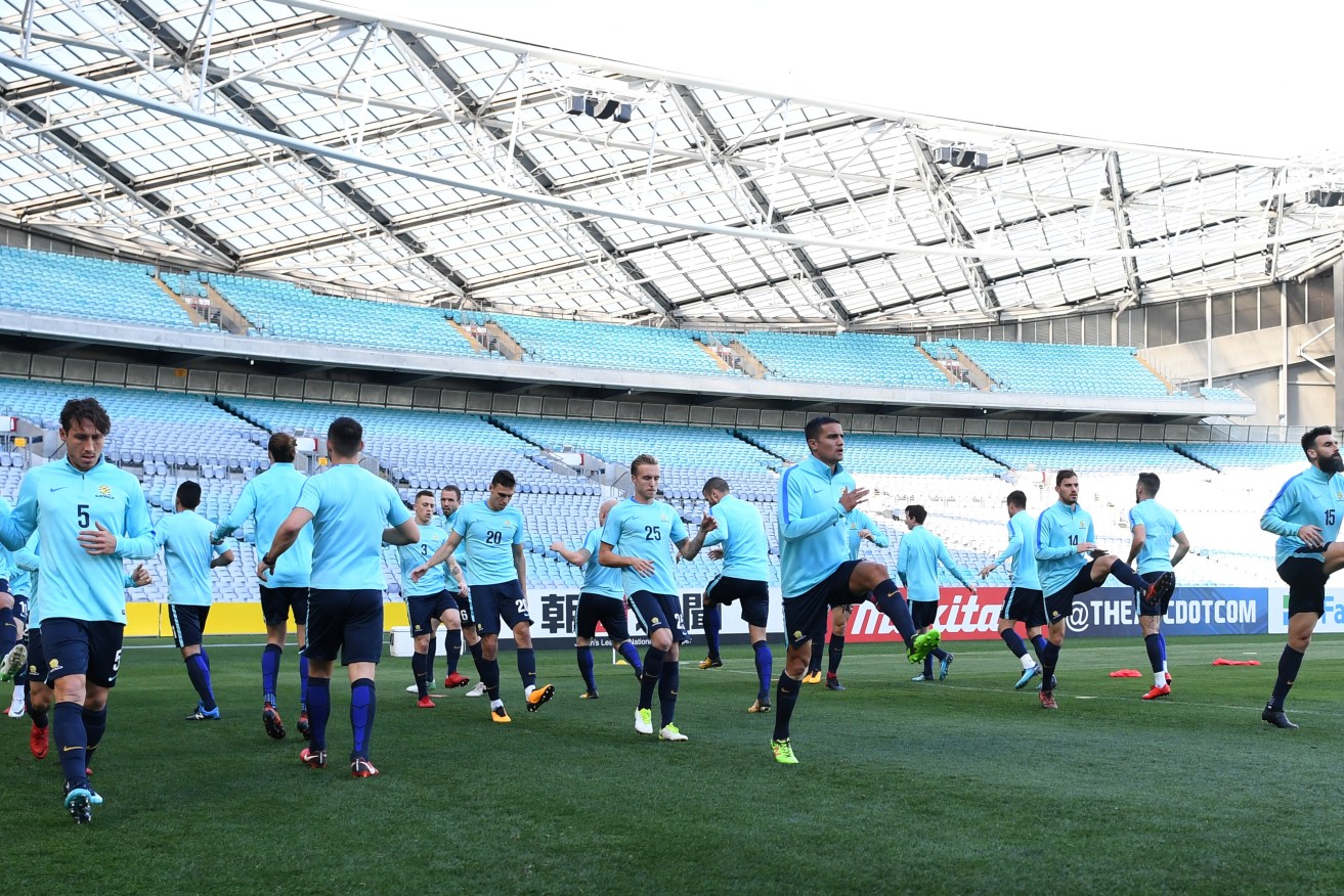 Australian players warm up for yesterday's training session. Photo: David Moir / AAP