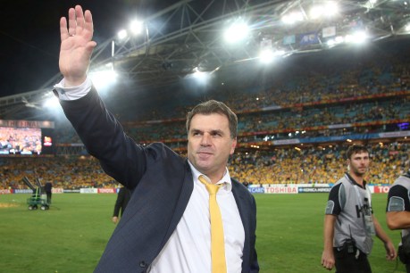 “Caretaker” FFA can’t appoint new Socceroos coach: Griffin