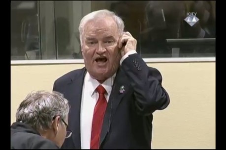 Ratko Mladic found guilty of genocide, flags appeal
