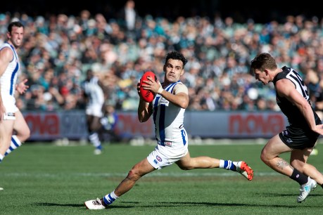 Delisted Roo veteran expected to join Port