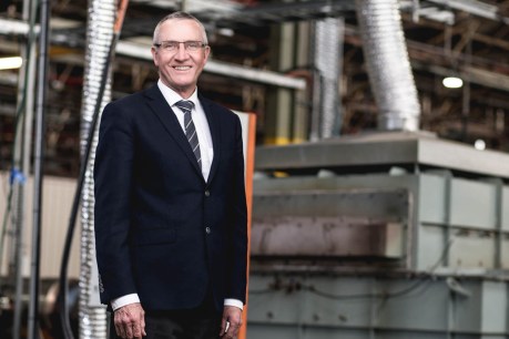Storage charge the key to affordable green energy, says industry leader