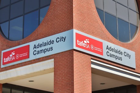 SA’s TAFE disaster could have been avoided