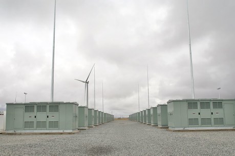 SA’s big battery operator fined over rules breach