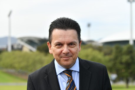 Xenophon threatens return to politics over Ugg boot case