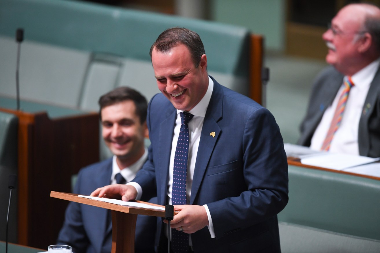 Liberal MP Tim Wilson after proposing to his partner Ryan Bolger during debate on the same-sex marriage bill today. Photo: AAP/Lukas Coch