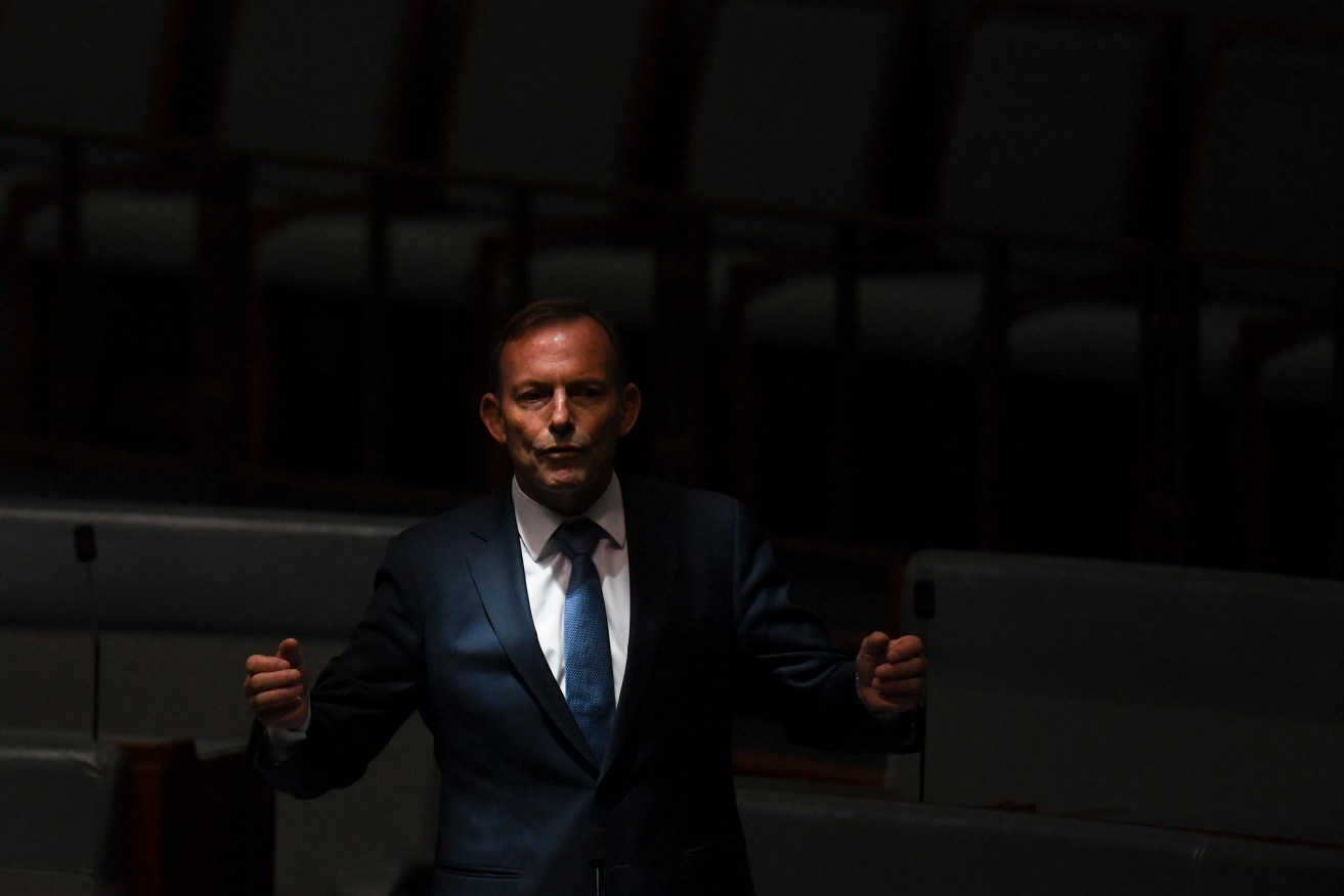 Tony Abbott speaks during debate in the House of Representatives today. Photo: AAP/Lukas Coch