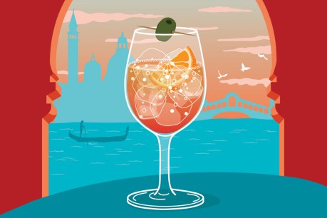A spritzy summer cocktail