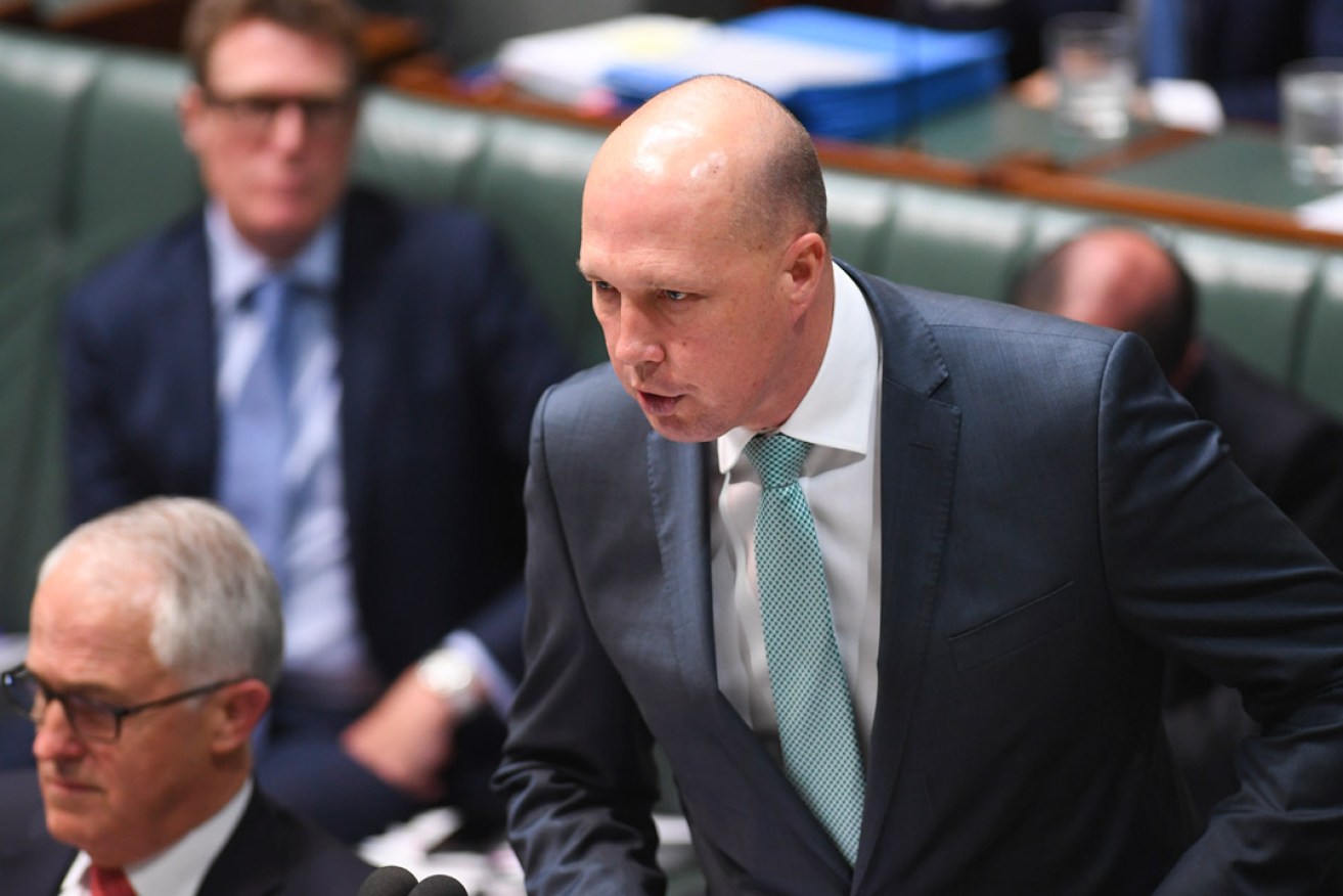 Peter Dutton in the House of Representatives today. He says it is unlikely the bill to legalise same-sex marriage will be changed before it is passed into law. Photo: AAP / Lucas Koch