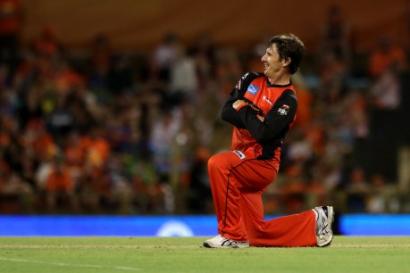 Hogg’s horror homecoming: dropped catch costs Renegades victory