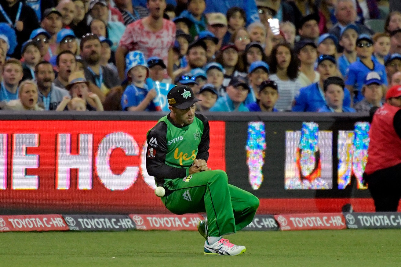 Glen Maxwell starred with the bat but dropped an easy catch during the Melbourne Stars' loss to the Strikers at Adelaide Oval last night. Photo: Roy Vandervegt / AAP