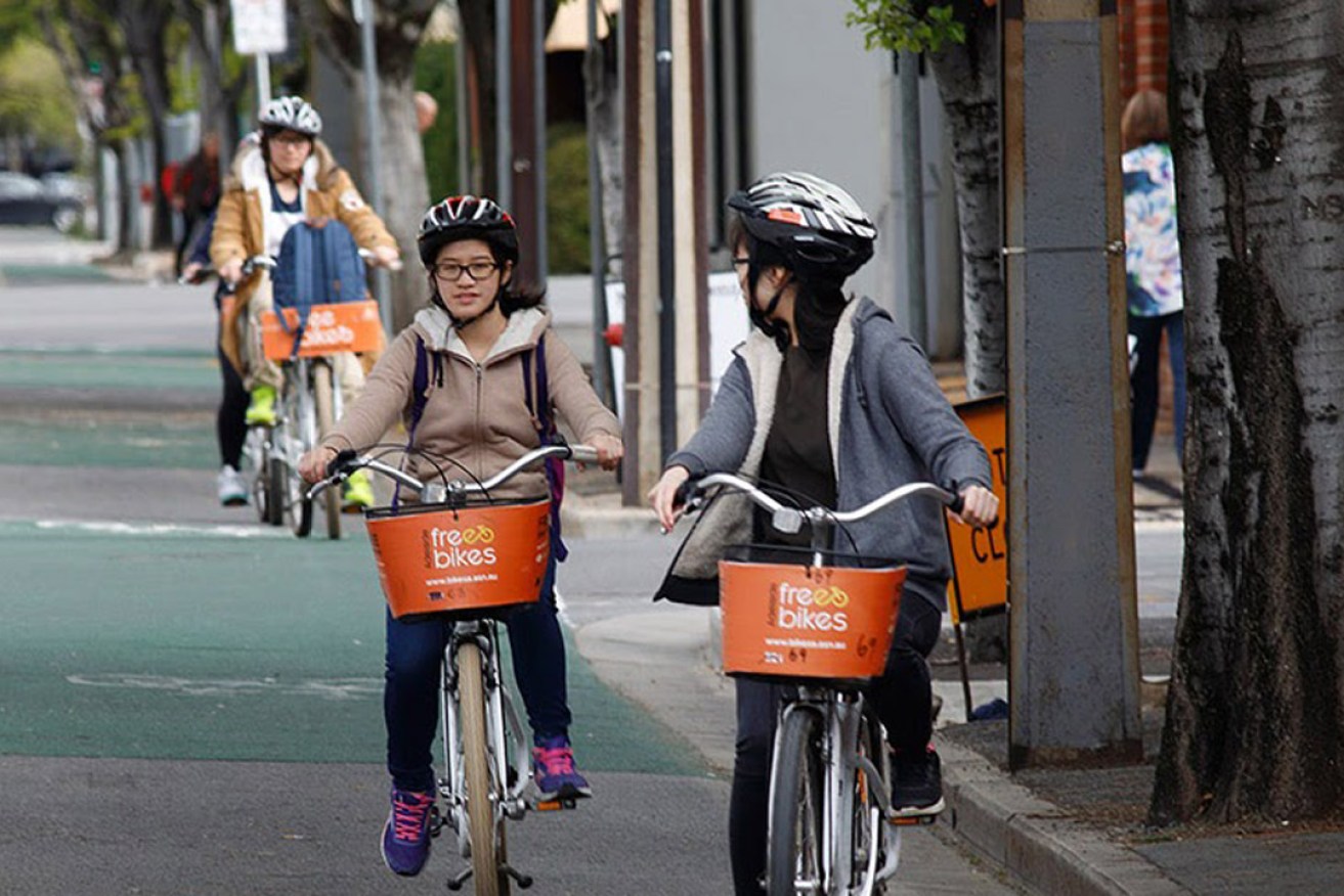 Cyclists using Adelaide Free Bikes. Photo: Tony Lewis / InDaily