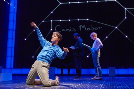 Unforgettable: The Curious Incident of the Dog in the Night-Time