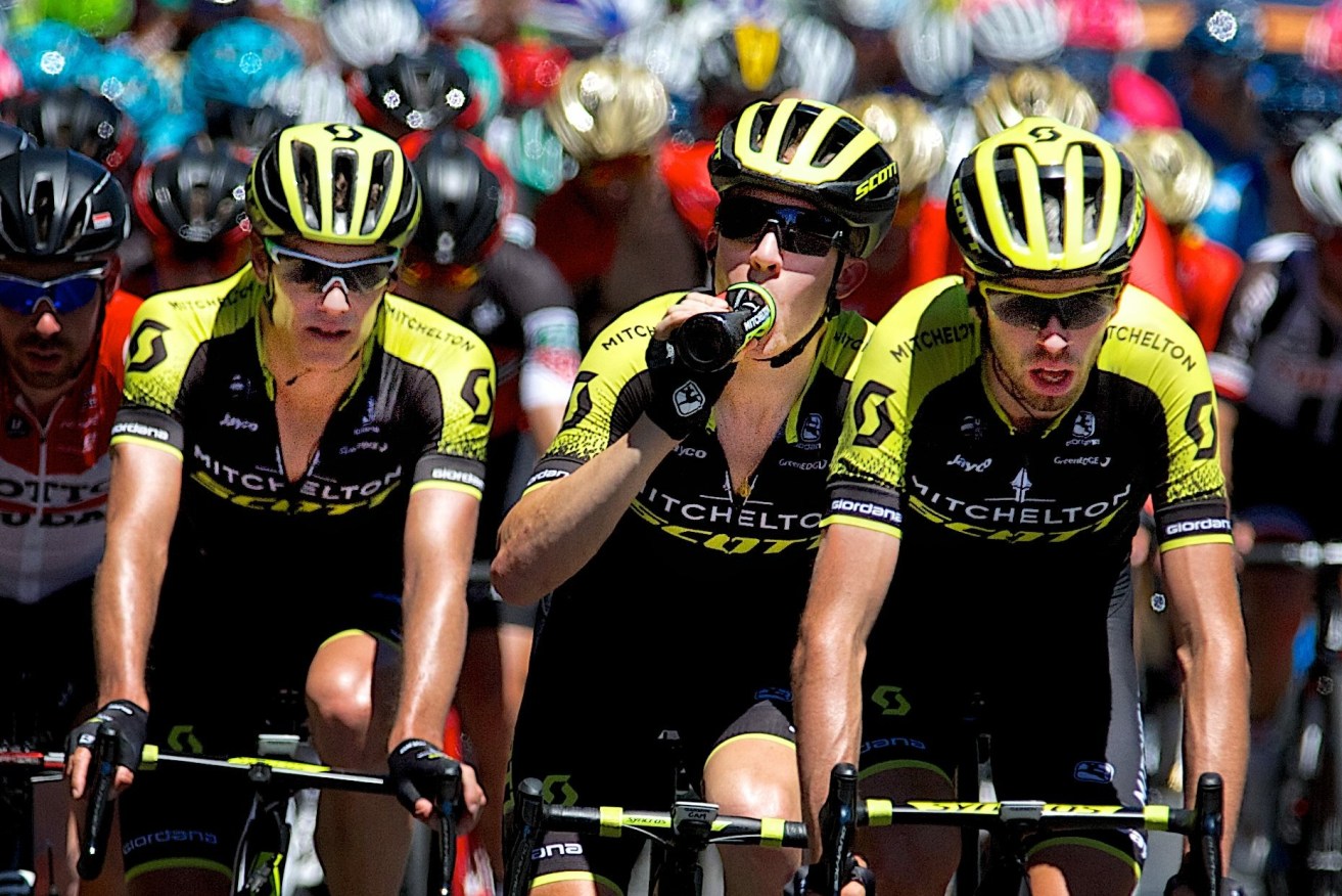 Pro riders in the Tour Down Under will need plenty of fluids in today's extreme heat. Photo: Michael Errey/InDaily