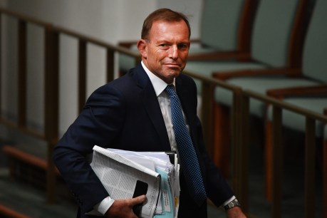‘I led you to power’: Angry Abbott hits out at his colleagues